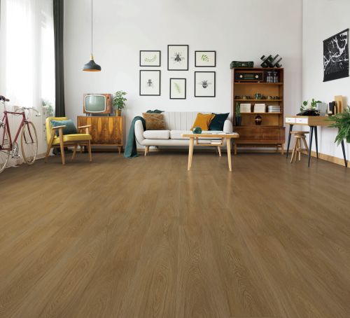 Stella Regal Oak